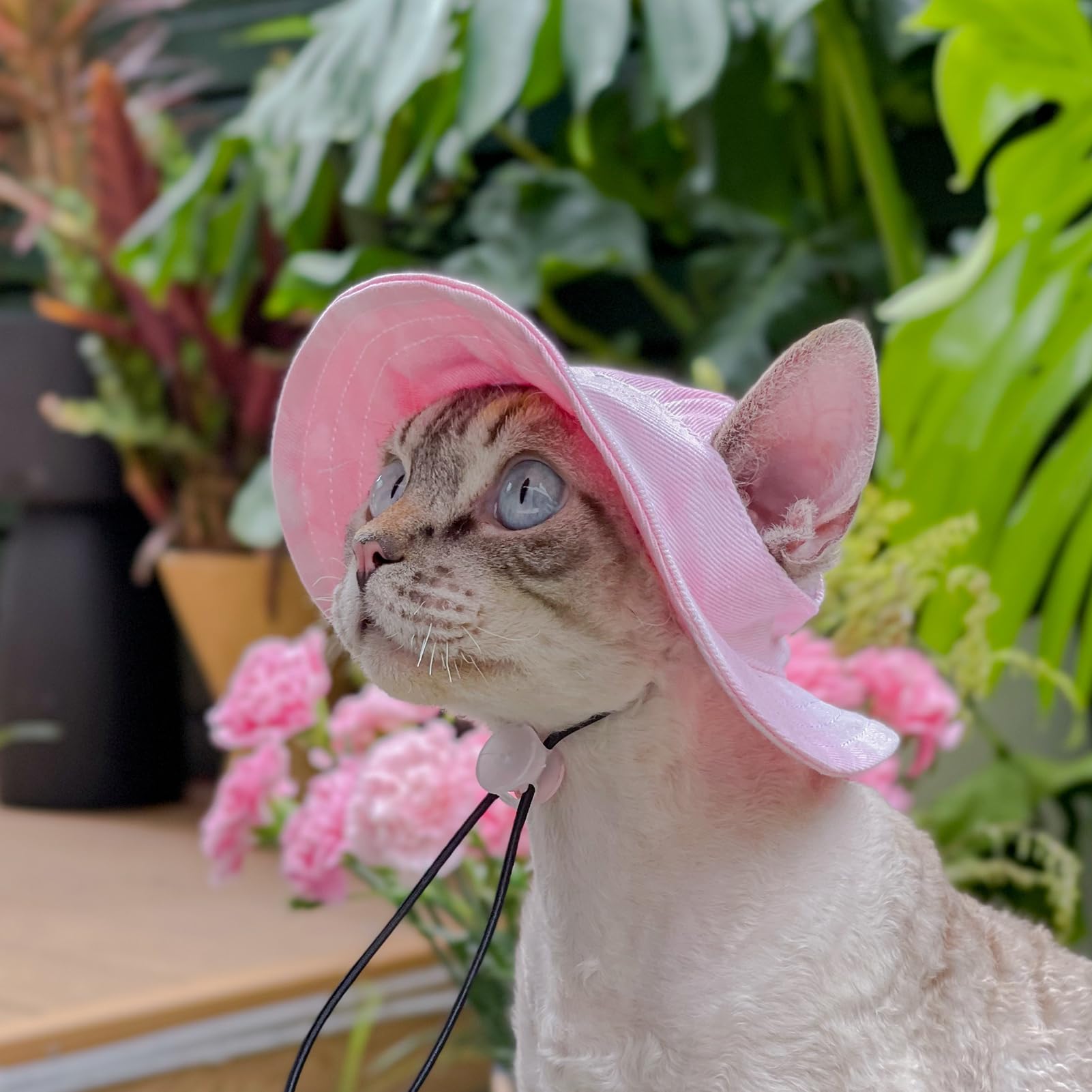 MIANHUATANG pet hat pink cotton canvas closeup emphasizes breathable material.