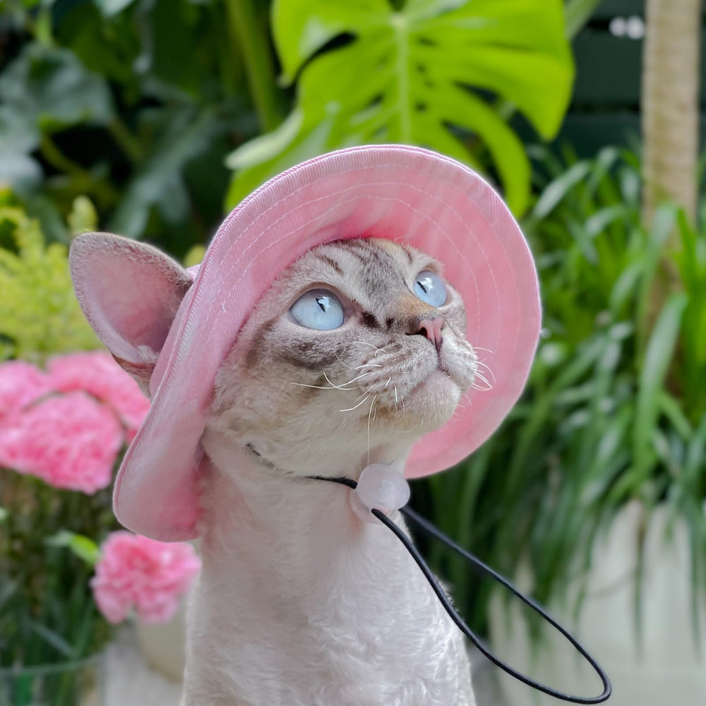 MIANHUATANG pink dog wearing pet hat during outdoor outing suggests versatile use.
