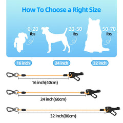 MiaoChuai 32inch orange harness illustrates proper fit for large dogs in daily trips.