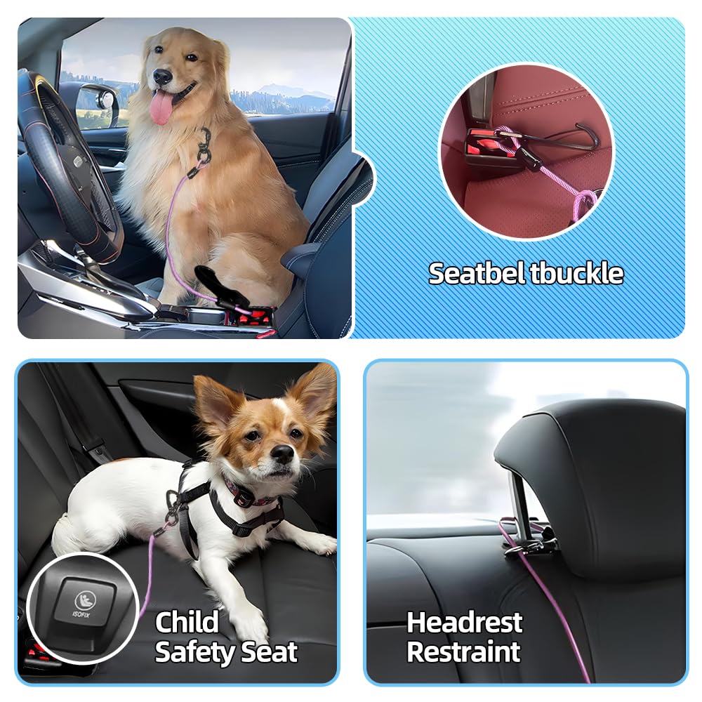 MiaoChuai purple harness supports safe front-seat use during car trips