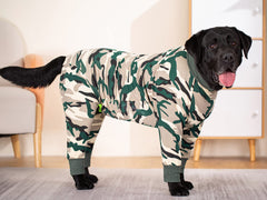 Miaododo Caomo recovery suit four-legged design on dog in action prevents scratching