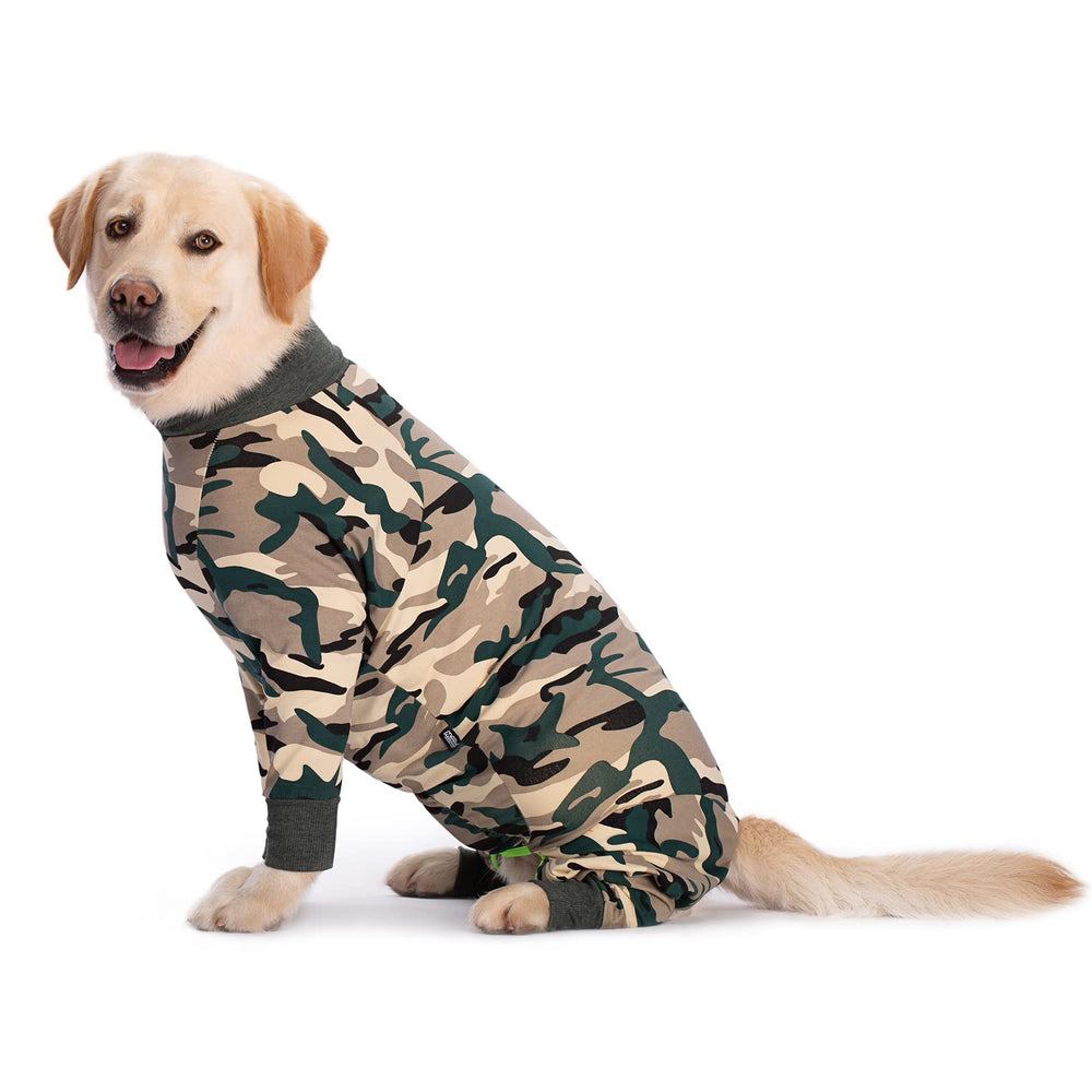 Miaododo Caomo recovery suit on dog wearing, highlighting four-legged coverage