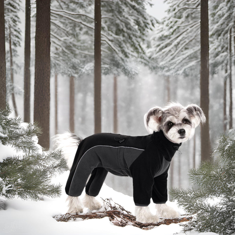 Miaododo dog pajamas in snow show full-body warmth for small pets