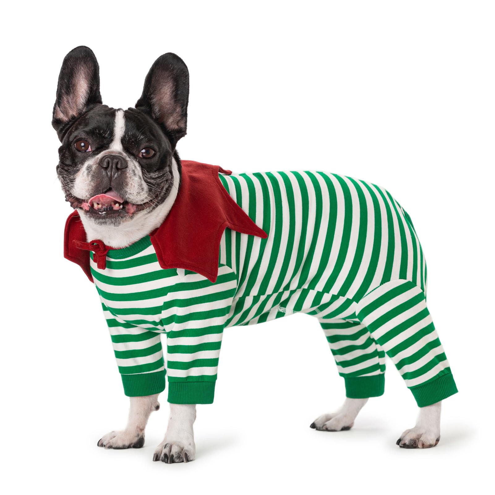 Miaododo striped dog recovery suit front view showing soft fabric and fit