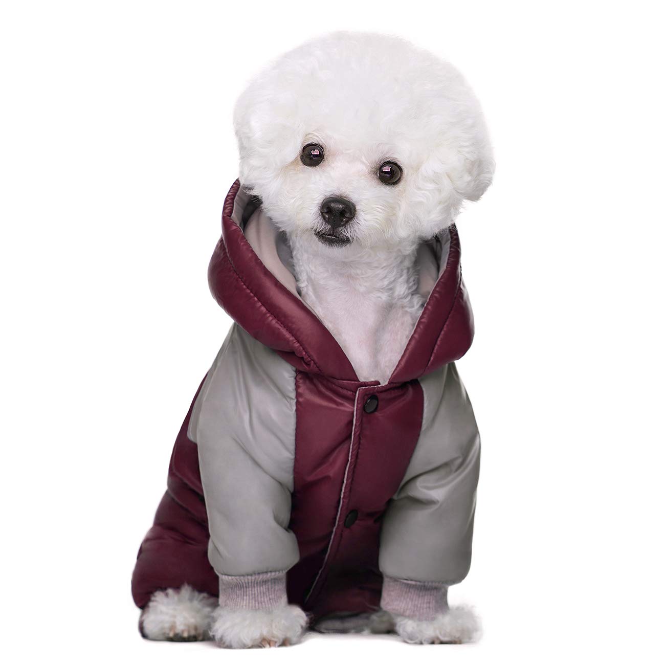 Miaododo Winter Dog Coat red XXL hood details for extra warmth