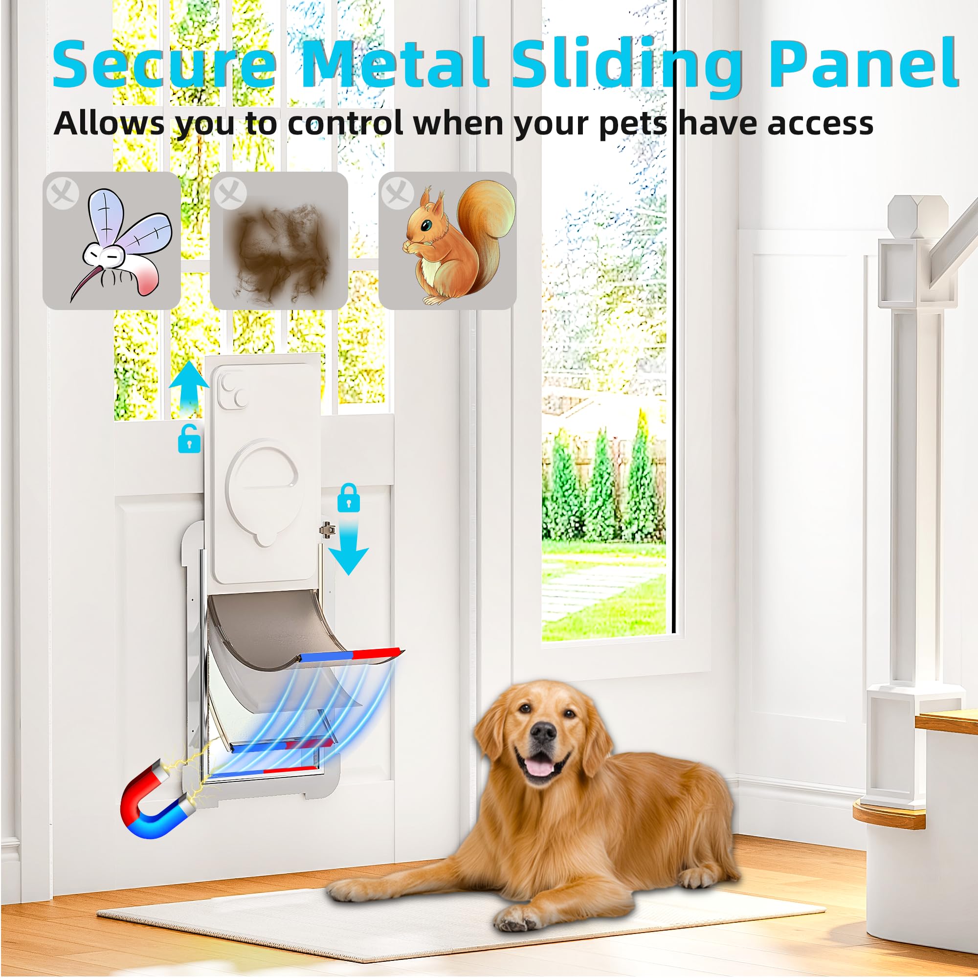 MIAOTONG easy-installation-dog-door with templates.