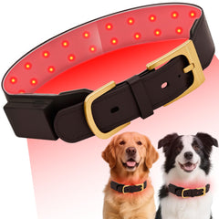 MIAOTONG red light therapy collar worn by dog for targeted joint support.