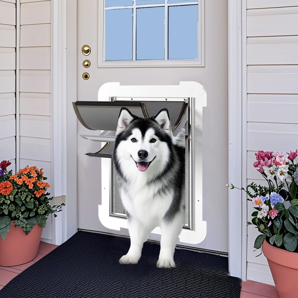 MIAOTONG-xl-dog-door-in-use shows pets enjoying indoor access while homeowners maintain security.