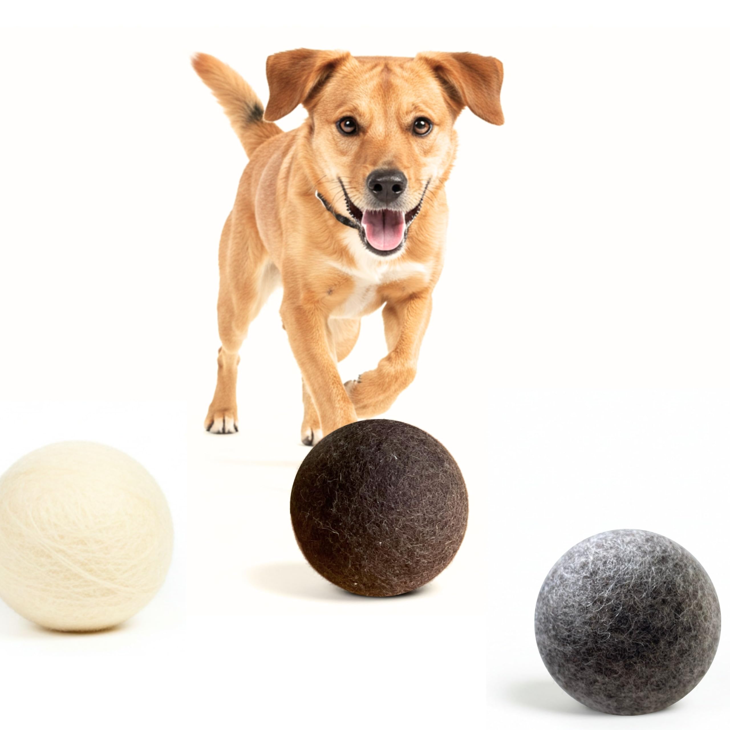 Miao and Woof eco-friendly wool ball highlights sustainable toy option.