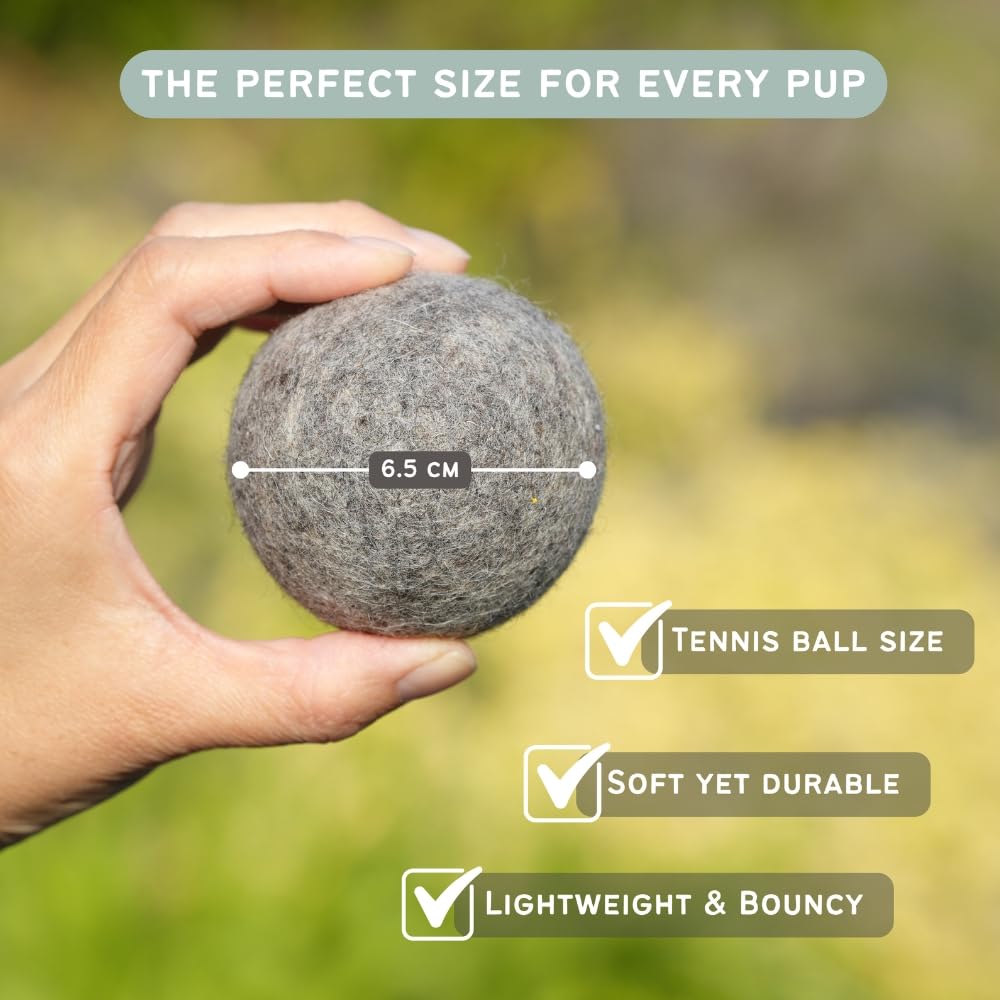 Miao and Woof indoor play scene shows safe, soft toy for daily fun.