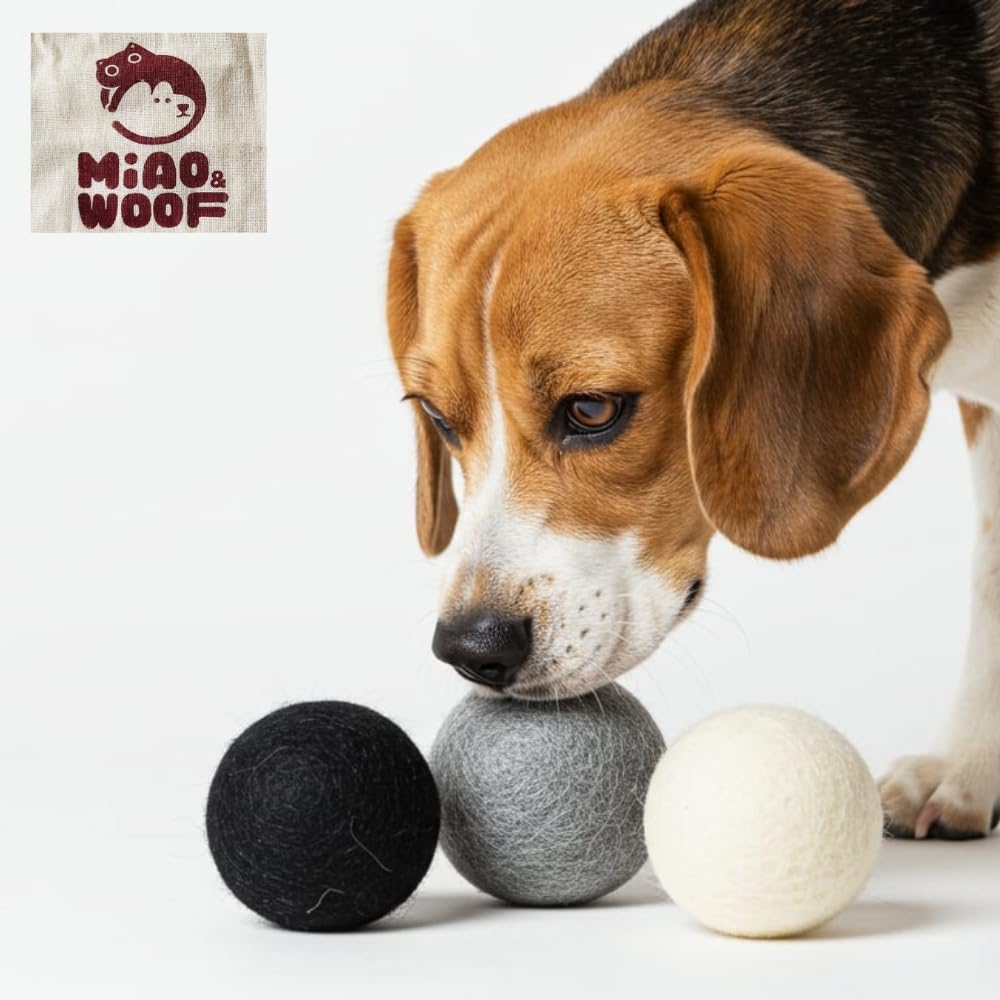 Miao and Woof wool dog ball close-up highlights soft texture and chew-resistance benefits.