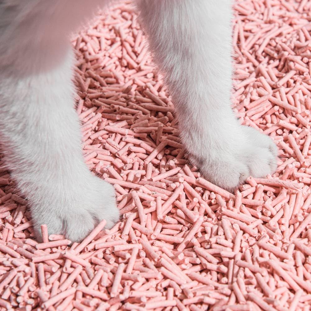 Michu tofu cat litter three-pack display highlights value and lasting freshness.