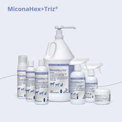 MiconaHex+Triz application on dogs, cats, and horses for multi-species skin care.