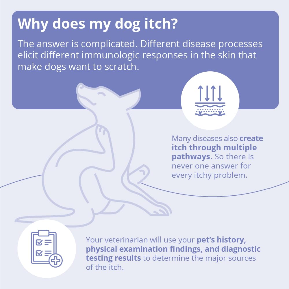 MiconaHex+Triz Mousse cat-application shows gentle coat care.