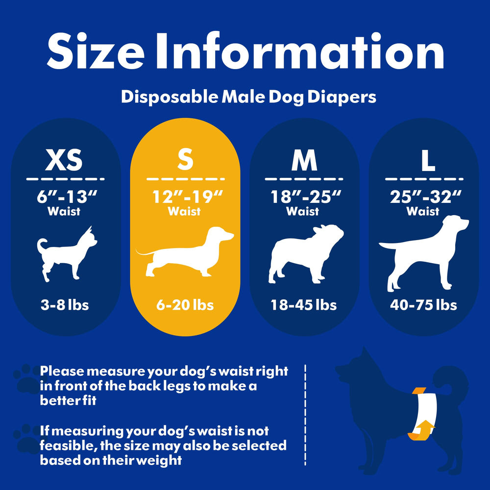 MICOOYO diaper supports puppy training and marking with reliable leakage protection