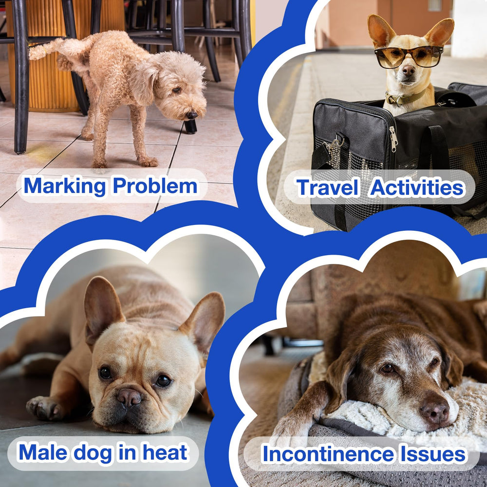 MICOOYO dog diapers offer travel-friendly design for convenient changes on the go