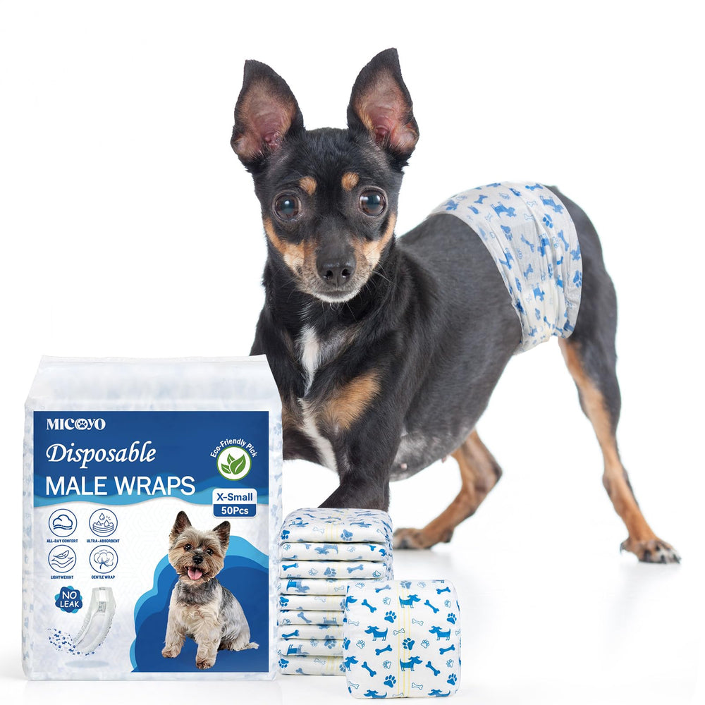 MICOOYO dog diapers XS pack shows 50-count packaging for easy at-home use