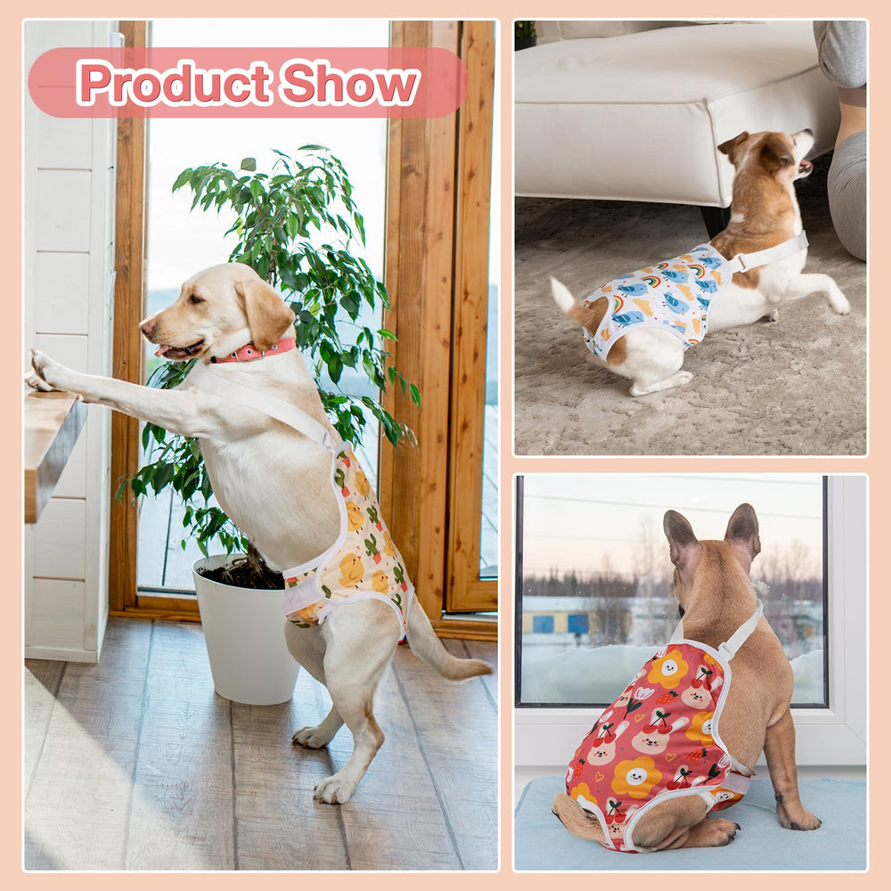 MICOOYO dog wearing on-the-go shows secure protection during outings.