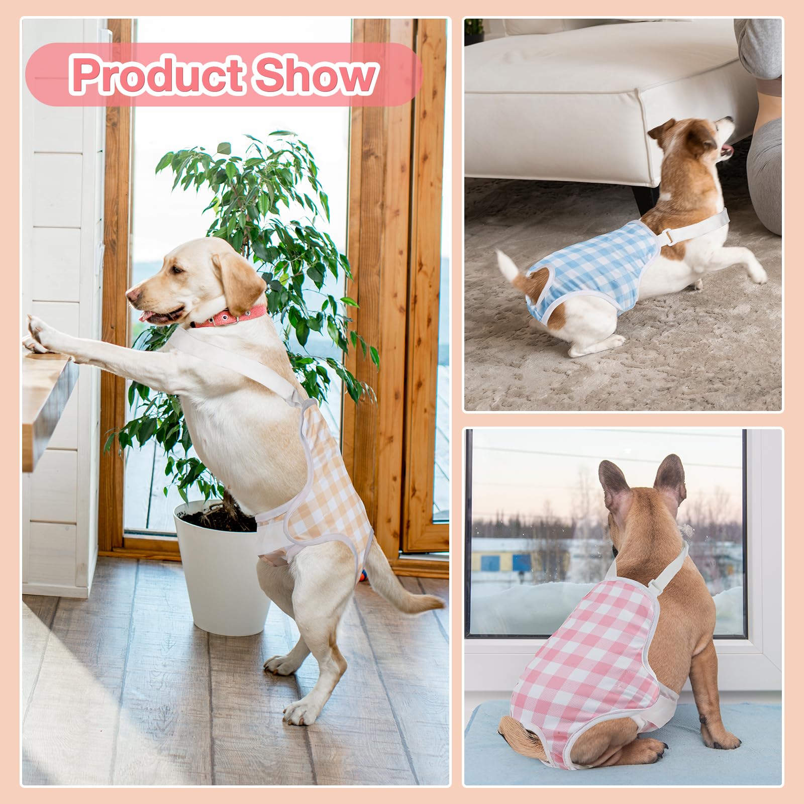 MICOOYO dog diaper onesie in-use during walks and daily activities