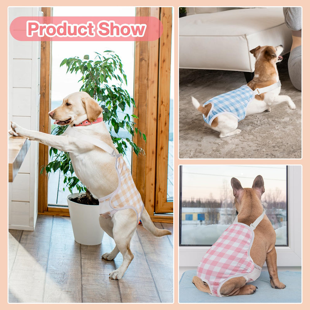 MICOOYO dog diaper onesie in-use during walks and daily activities
