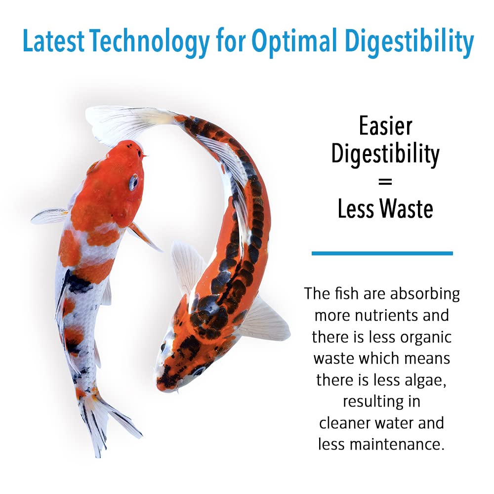 Microbe-Lift MLLWGSM goldfish dining in pond with floating pellets.