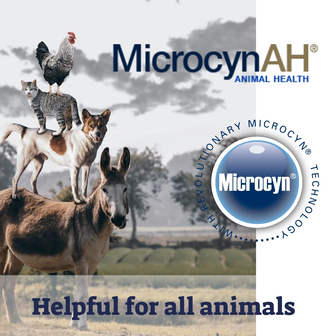 Microcyn AH veterinarian-recommended stamp signals trusted care.