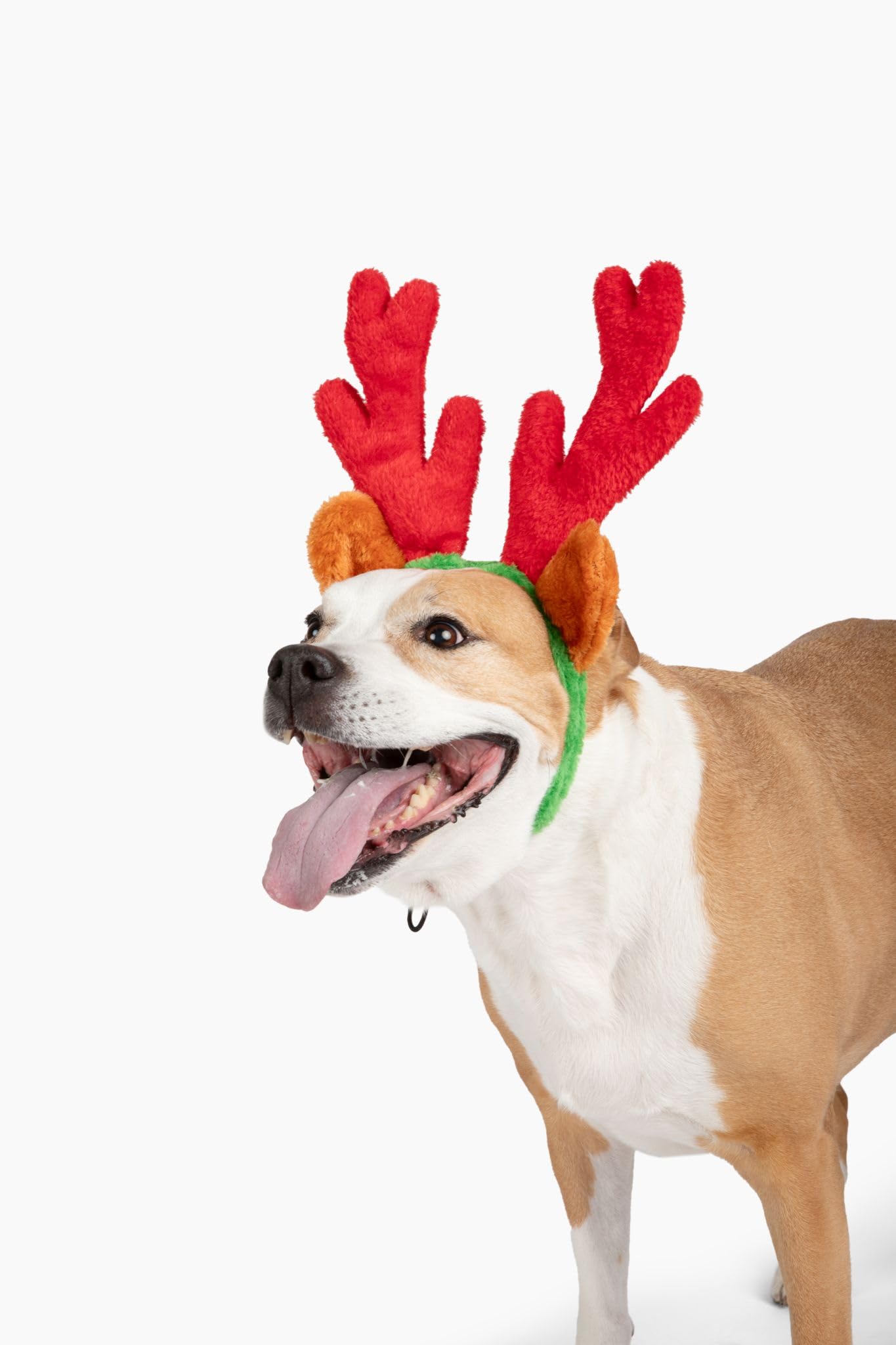 Midlee Christmas Reindeer Antlers bring playful holiday photo moments