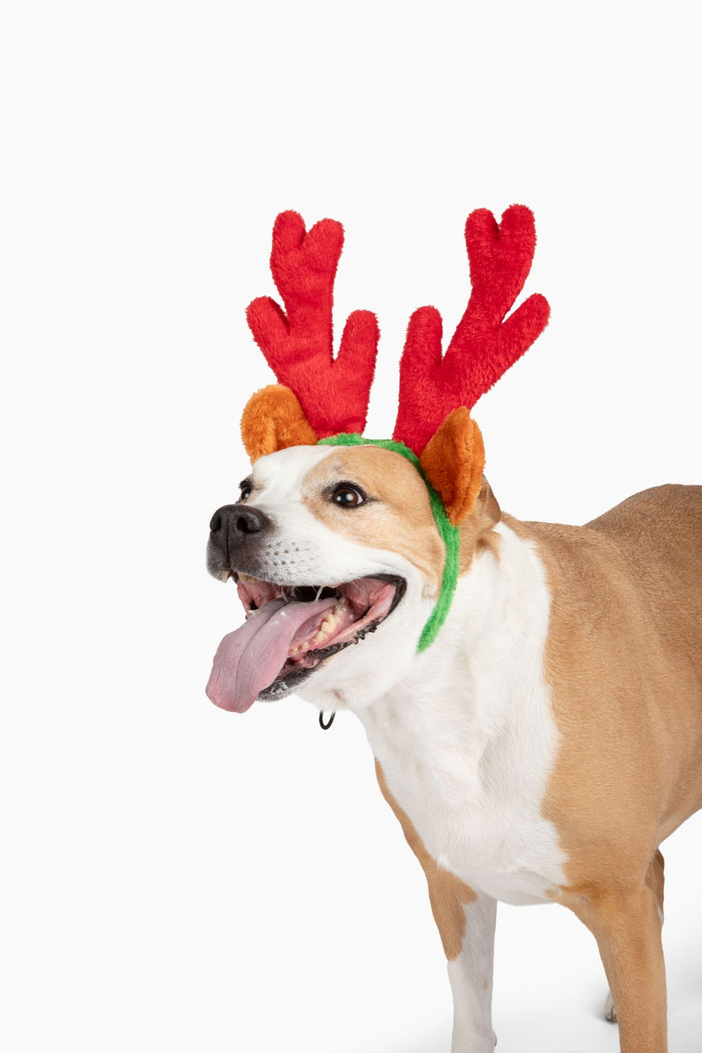 Midlee Christmas Reindeer Antlers bring playful holiday photo moments