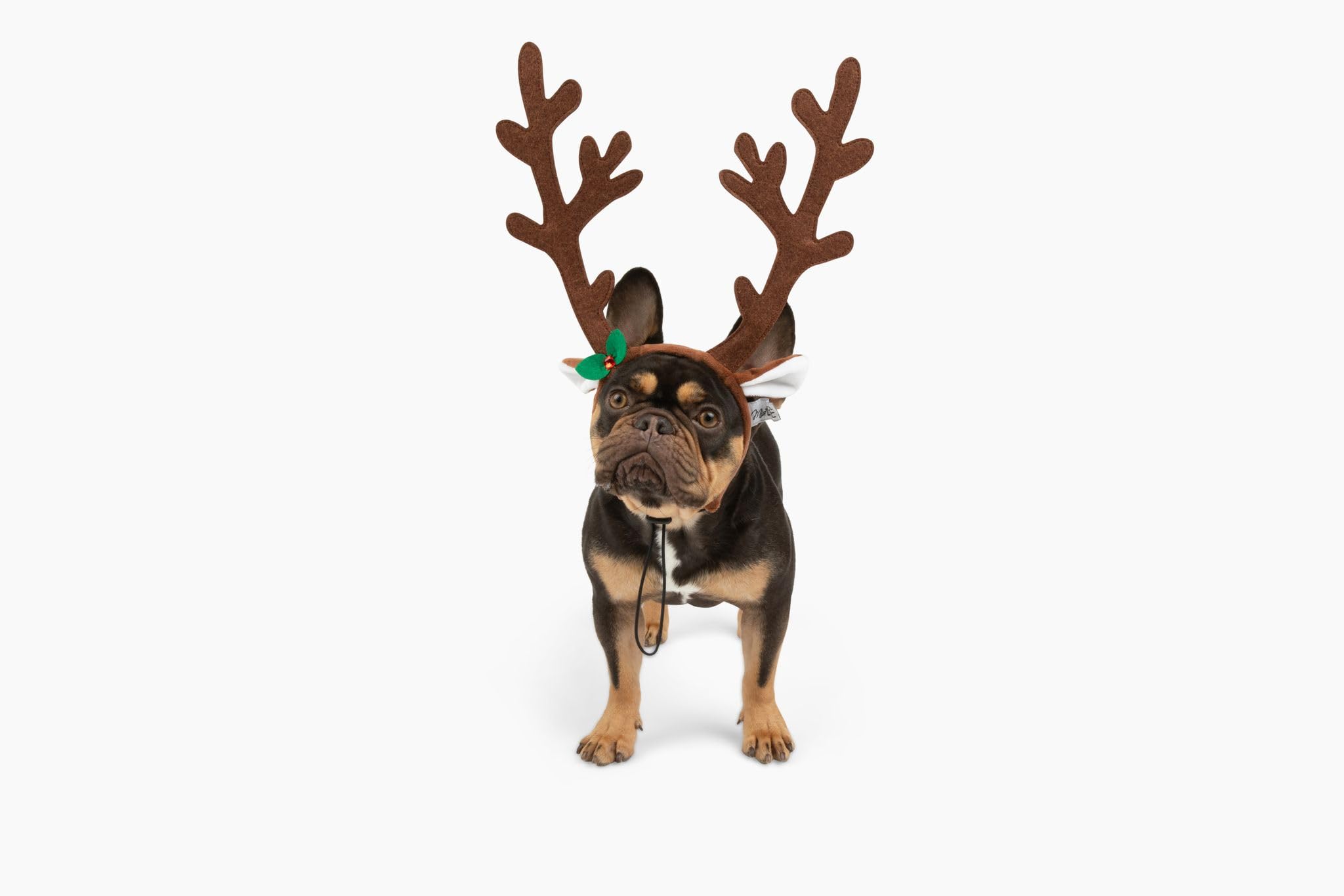Midlee brown reindeer dog antlers headband closeup with bell.