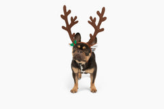Midlee brown reindeer dog antlers headband closeup with bell.