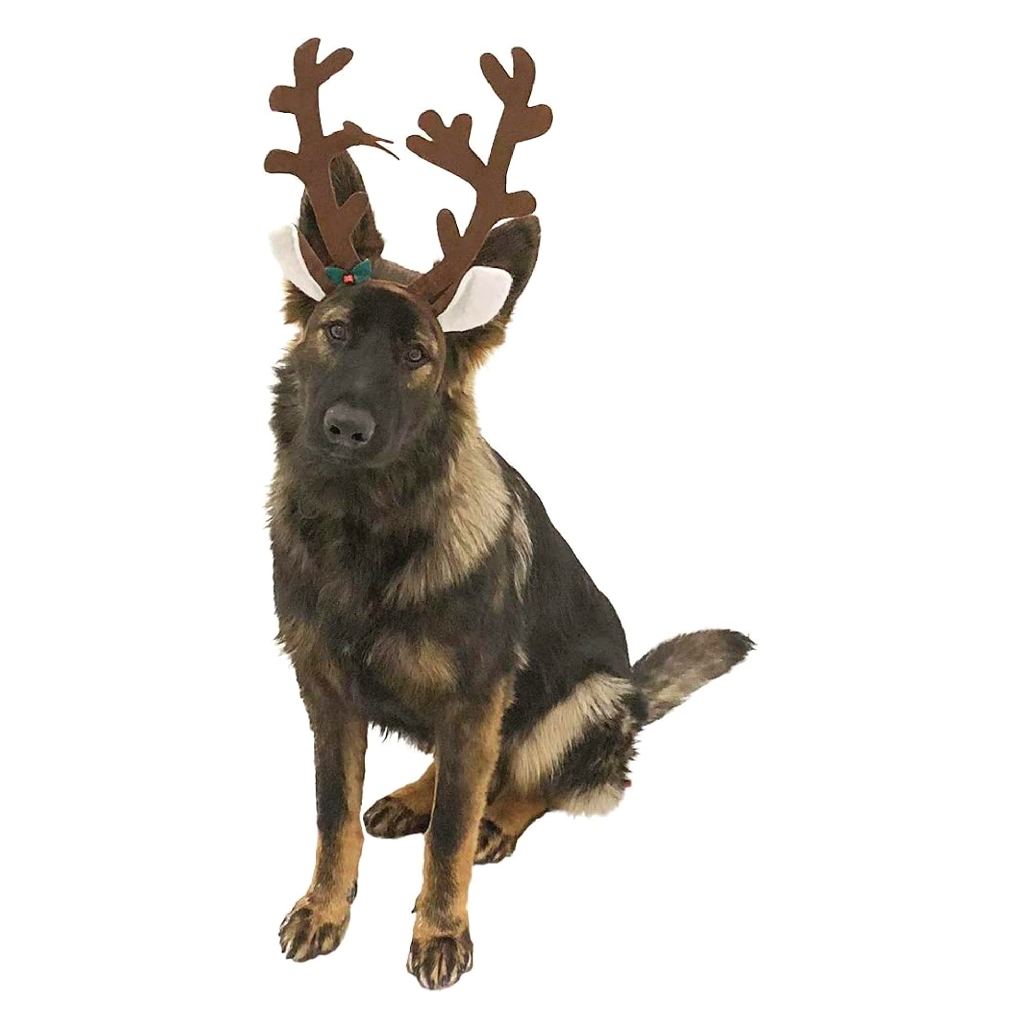 Midlee brown reindeer dog antlers headband shows elastic chin strap.