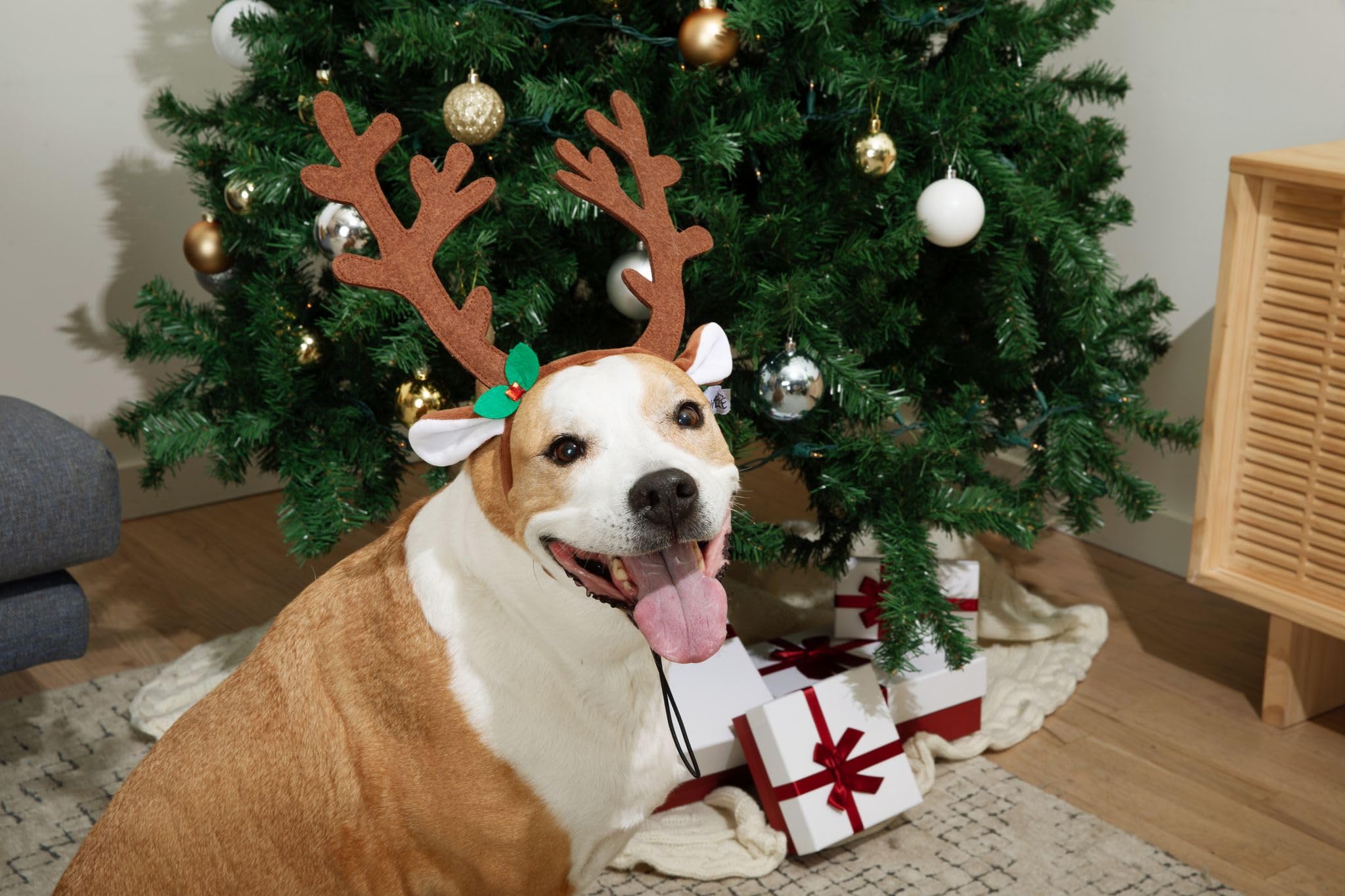 Midlee brown reindeer dog antlers headband enhances holiday mood in photos.