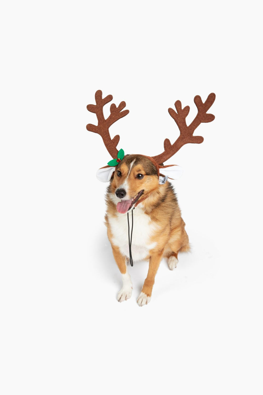 Midlee brown reindeer dog antlers headband for large dogs.