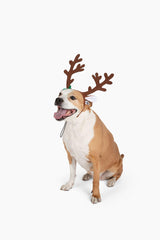 Midlee brown reindeer dog antlers headband worn on a dog.