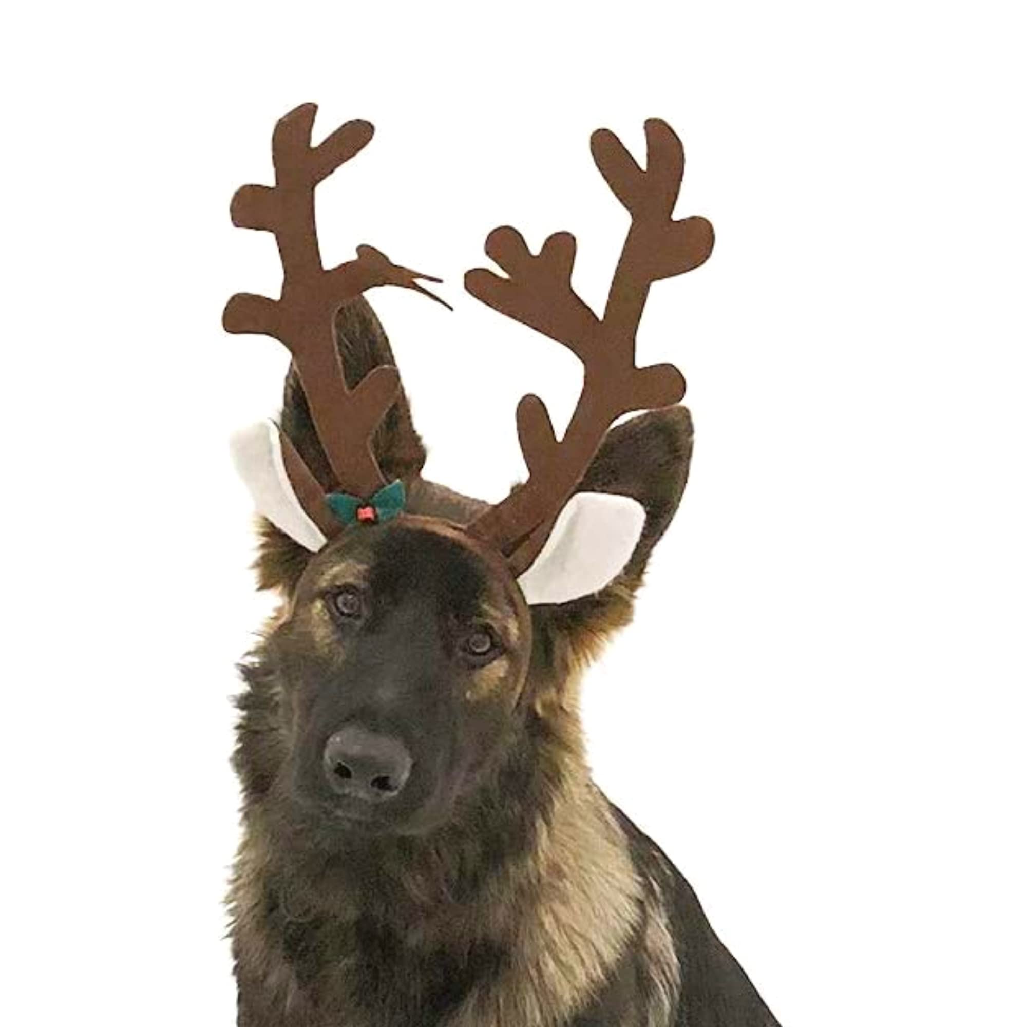Midlee brown reindeer dog antlers headband packaged with festive details.