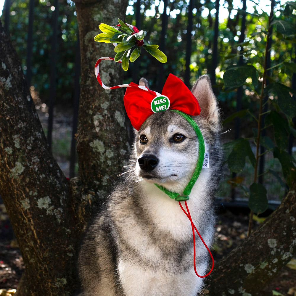 Midlee Christmas Mistletoe Dog Headband in a Christmas scene for photos.
