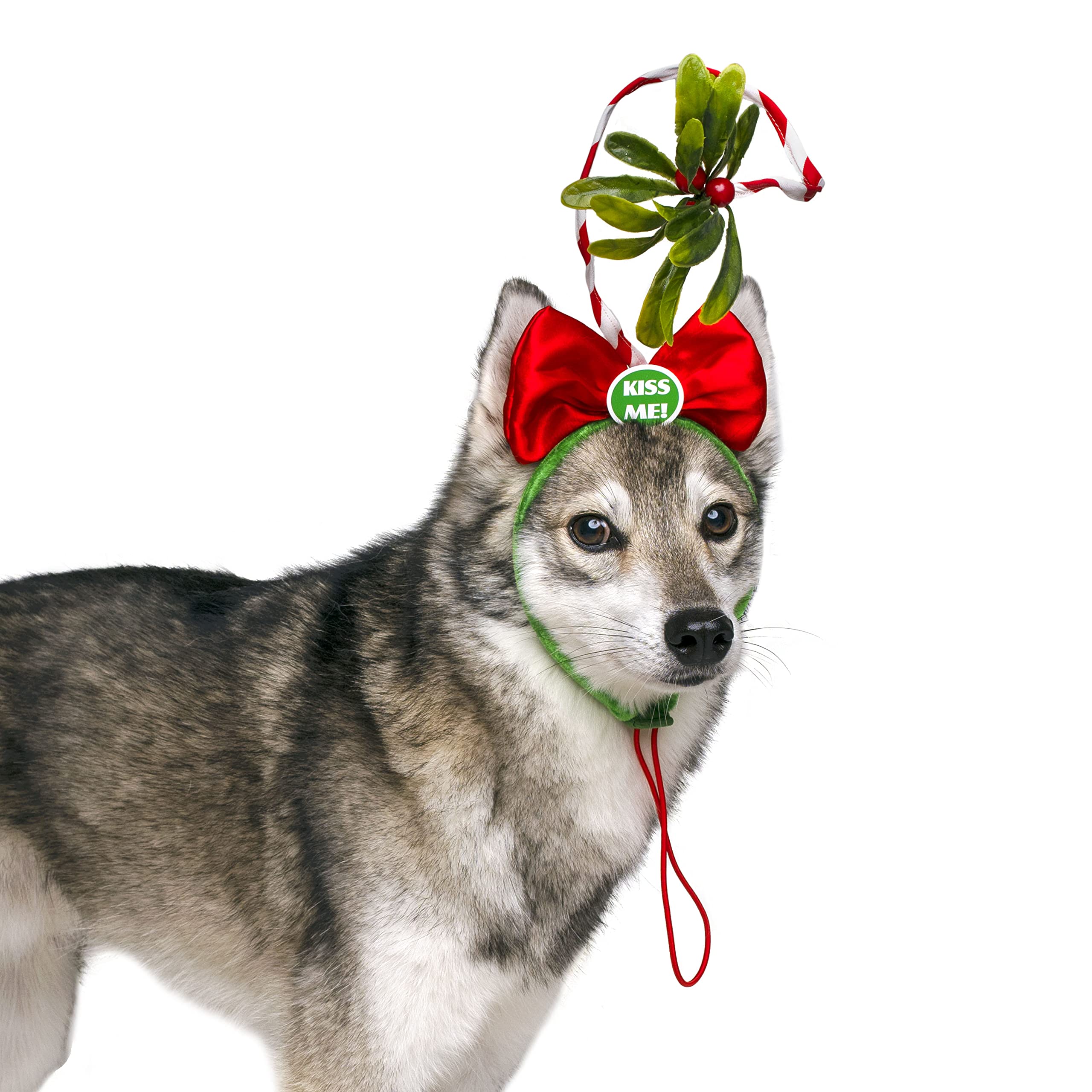 Midlee Christmas Mistletoe Dog Headband ready for holiday kisses and smiles.