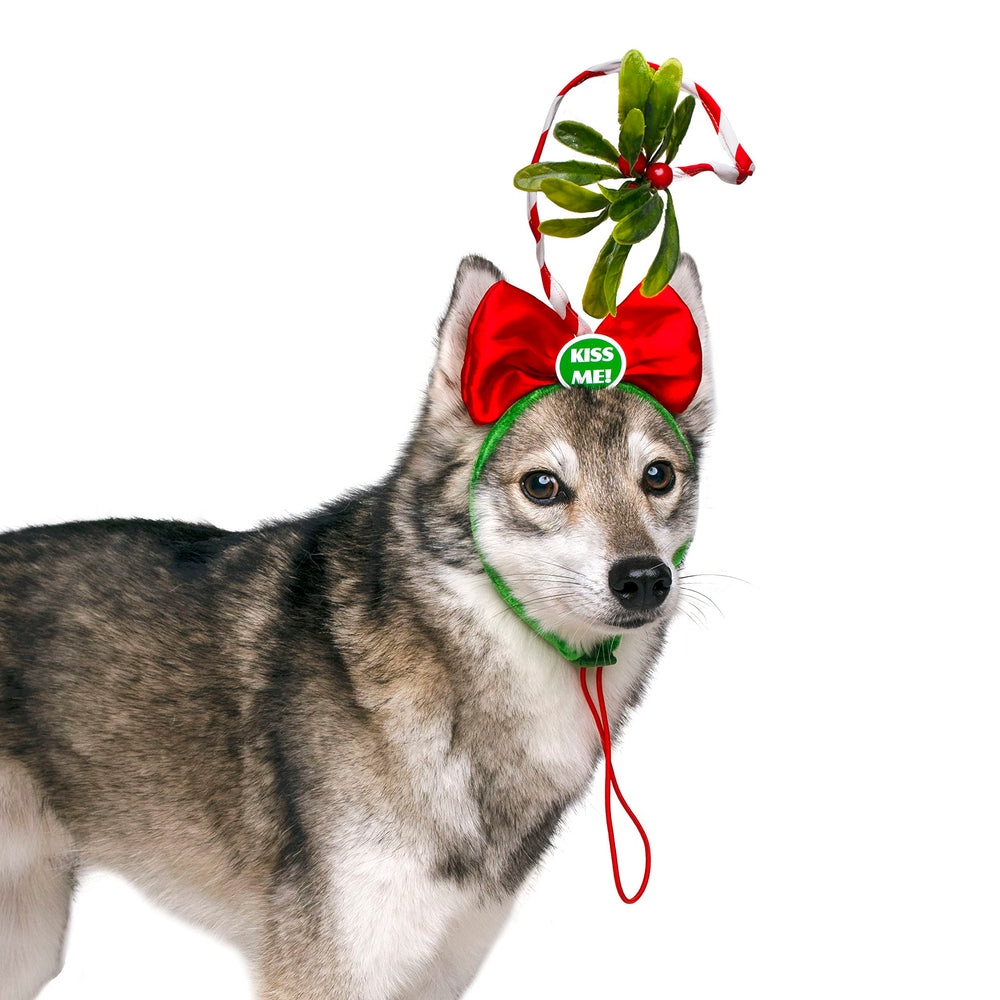 Midlee Christmas Mistletoe Dog Headband ready for holiday kisses and smiles.
