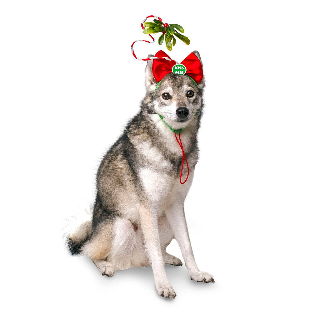 Midlee Christmas Mistletoe Dog Headband on a dog for a festive photo moment.