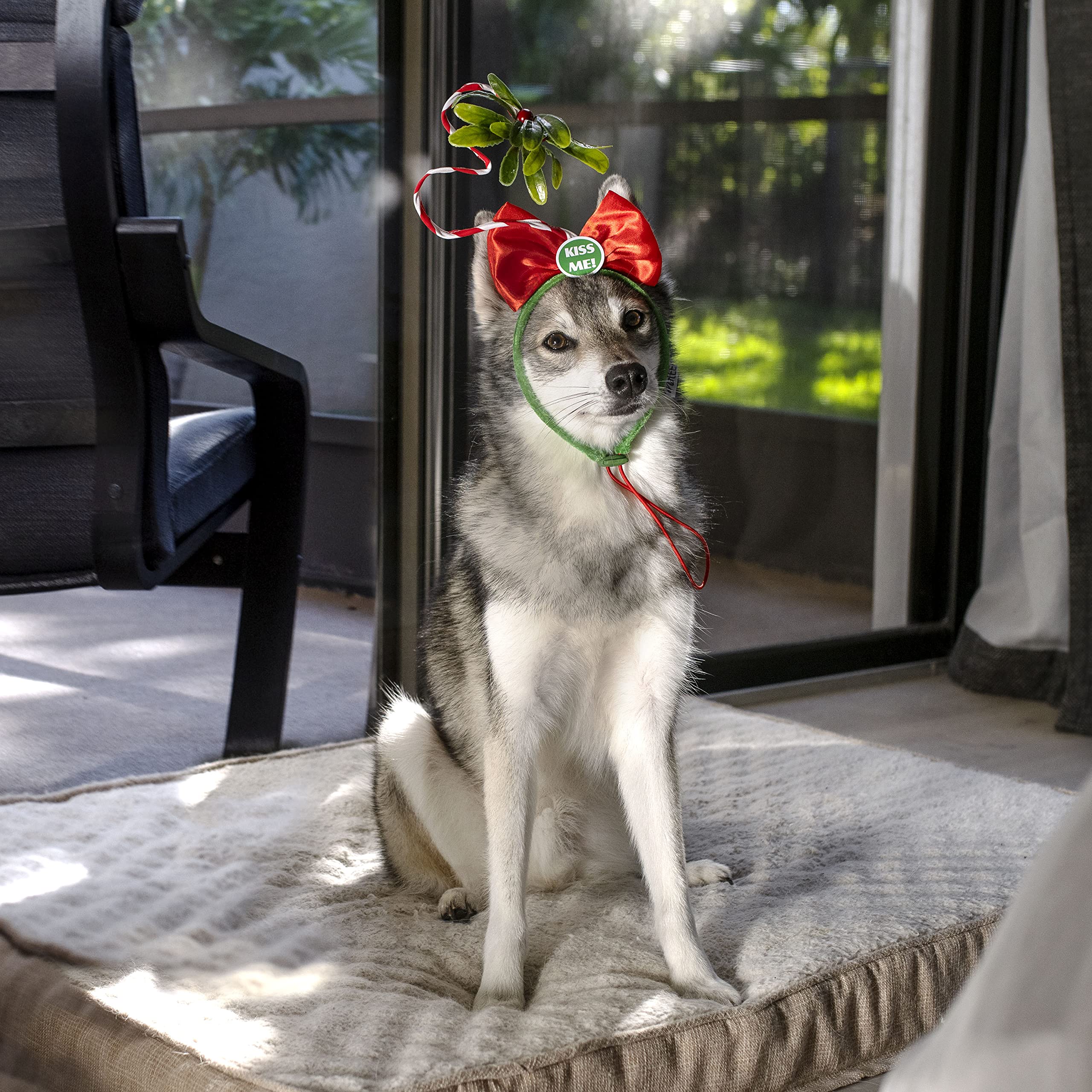 Midlee Christmas Mistletoe Dog Headband packaging display.