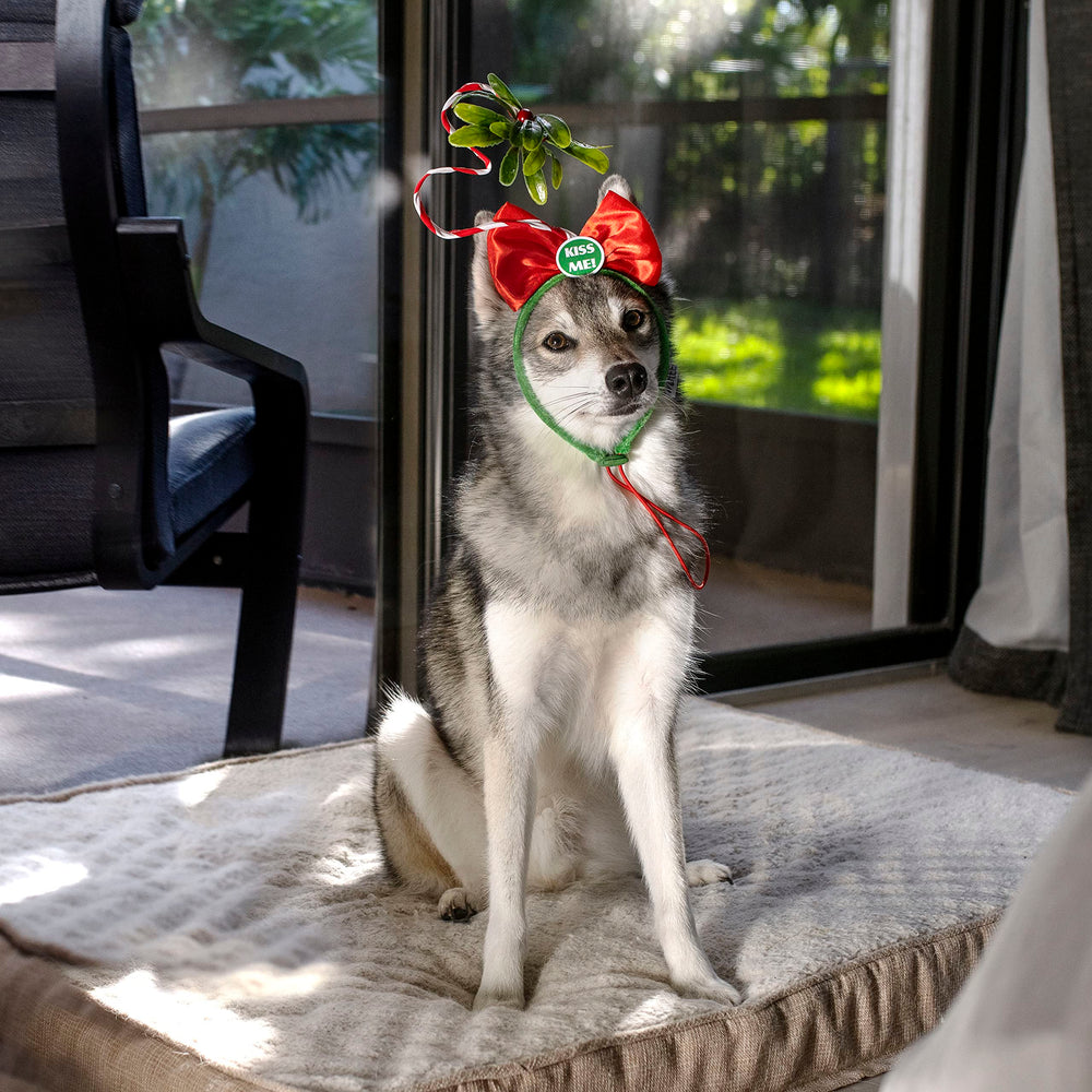 Midlee Christmas Mistletoe Dog Headband packaging display.