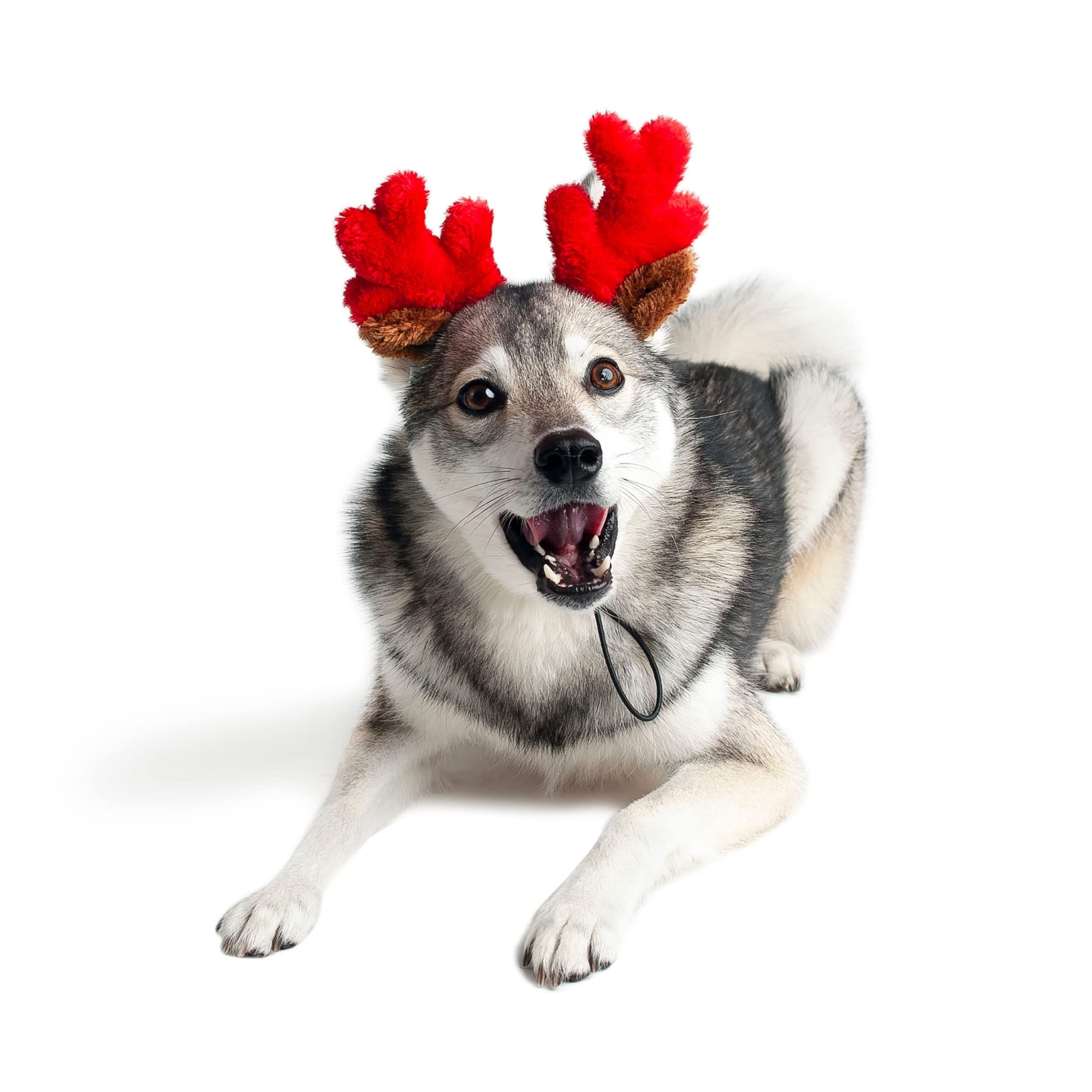 Midlee Christmas Reindeer dog antlers side view for playful outfits