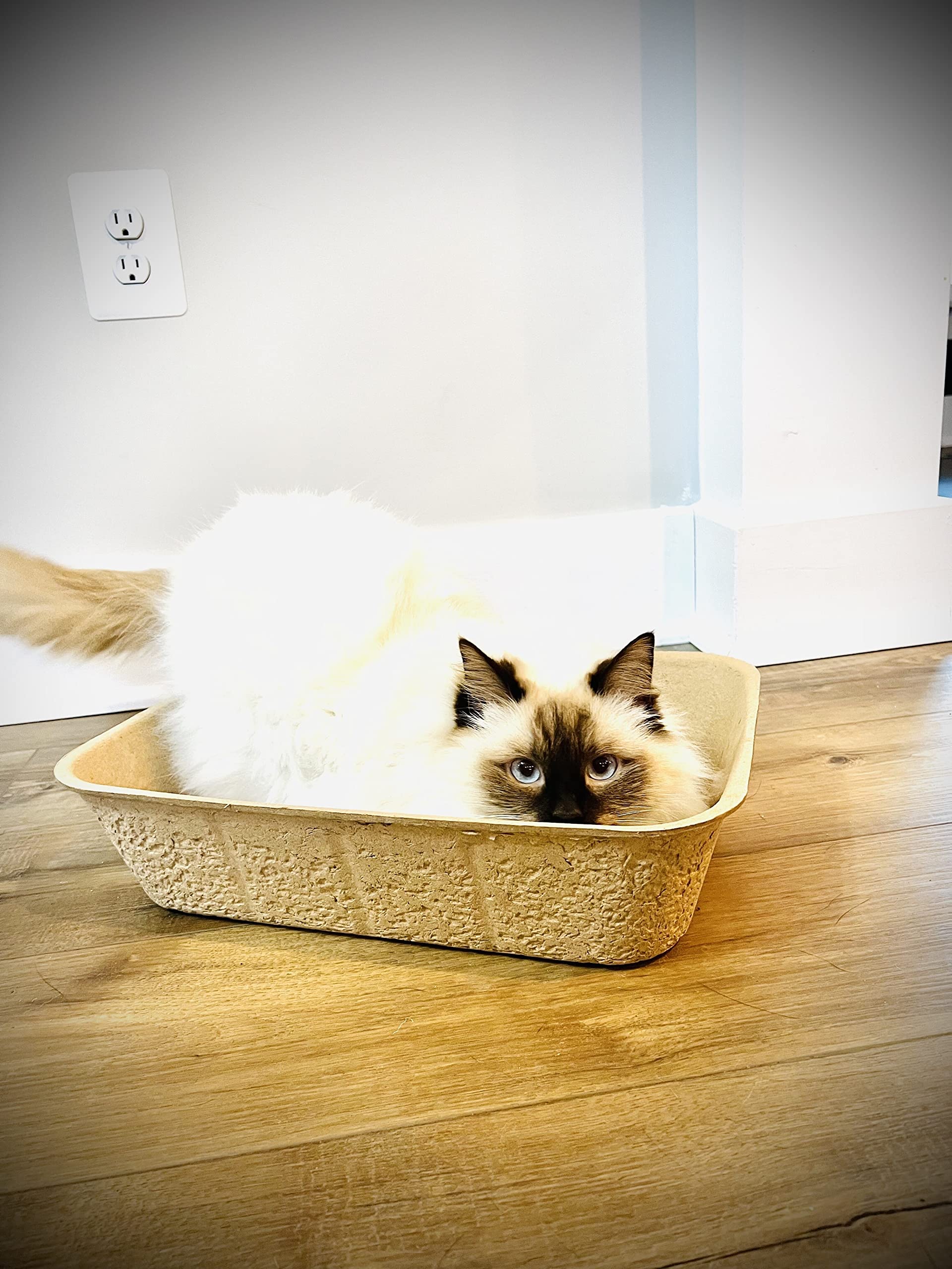 Midlee disposable cat litter box pack-5 travel-setup shows compact portability