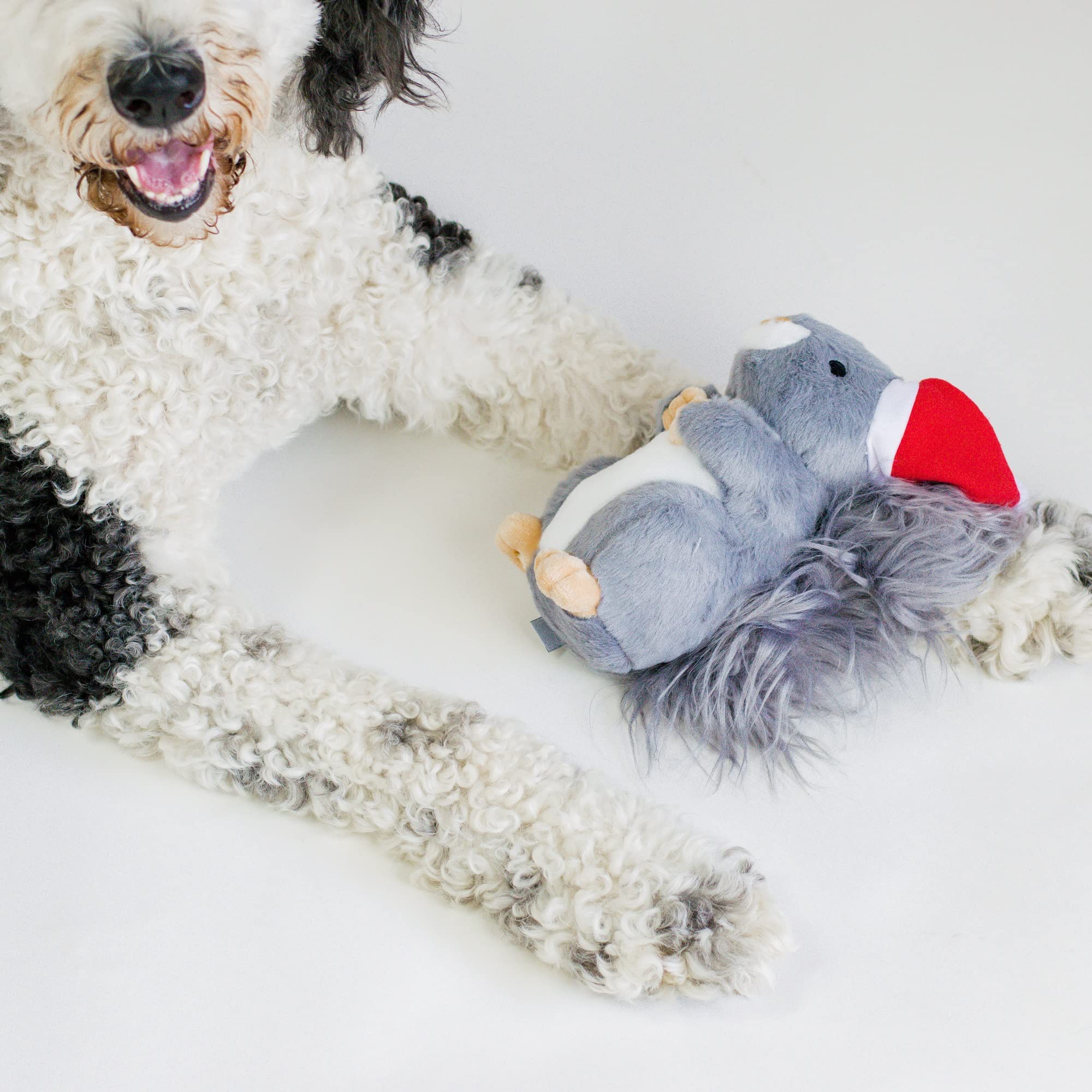 Midlee dog toy squeaker inside invites playful chase sessions.