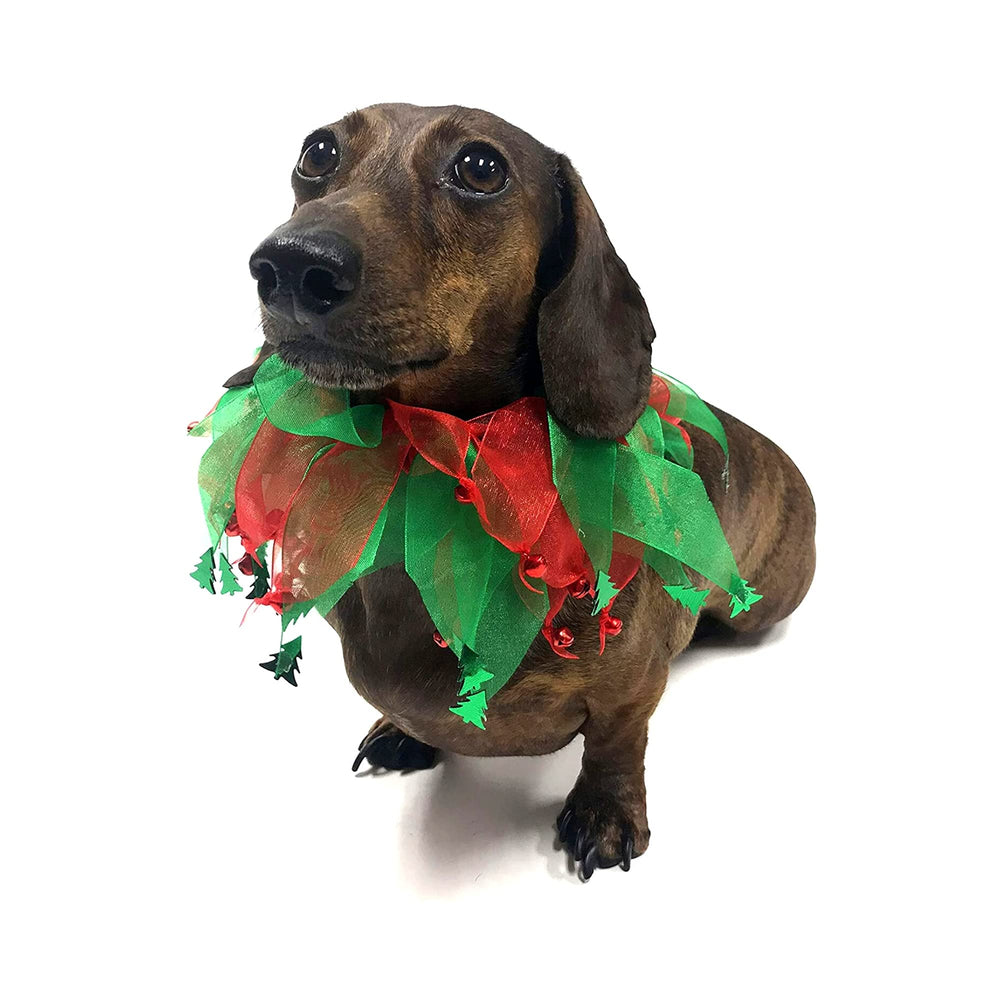 Midlee festive dog-collar photo-ready look enhances holiday ambiance