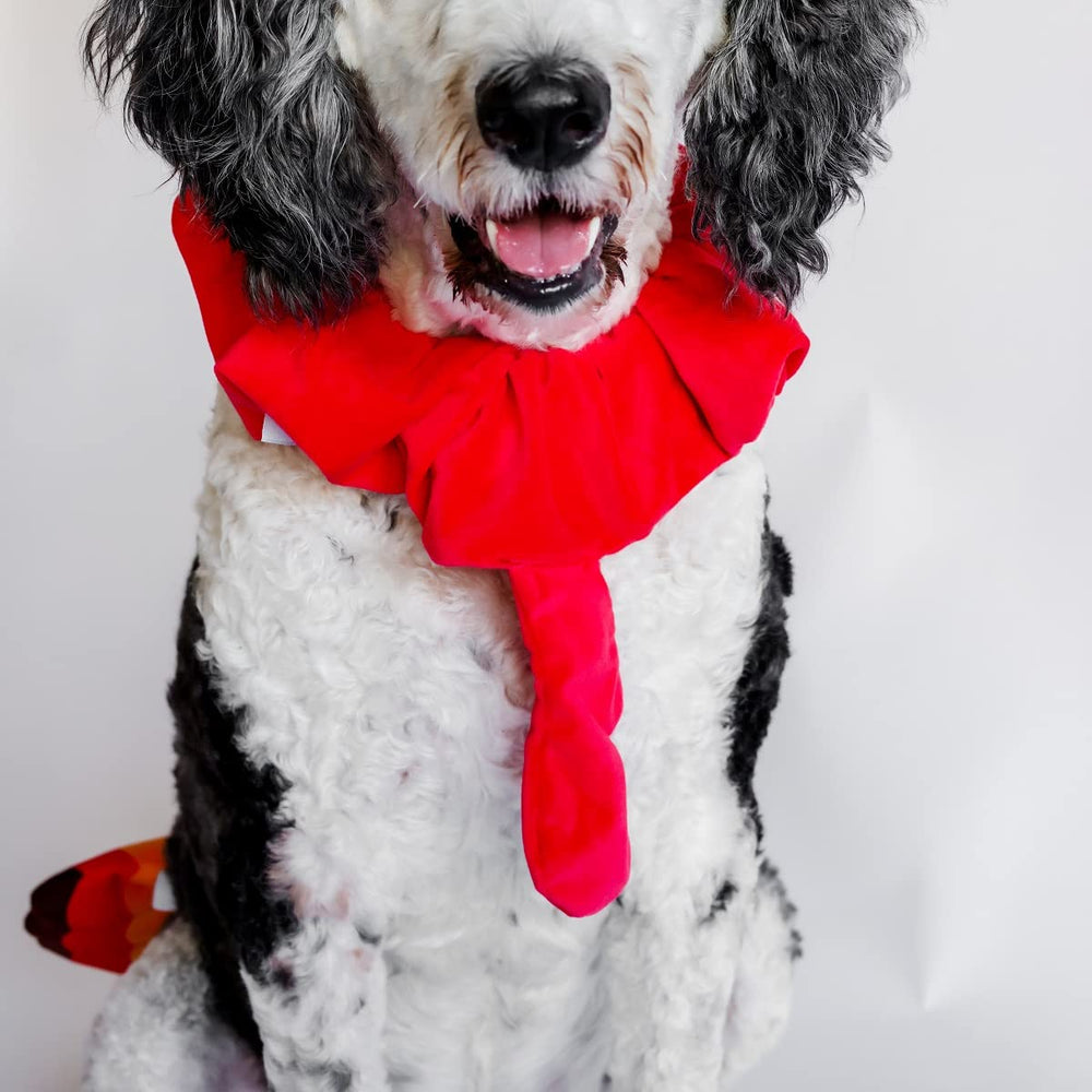 Midlee festive dog photo captures playful turkey vibes at home parties.