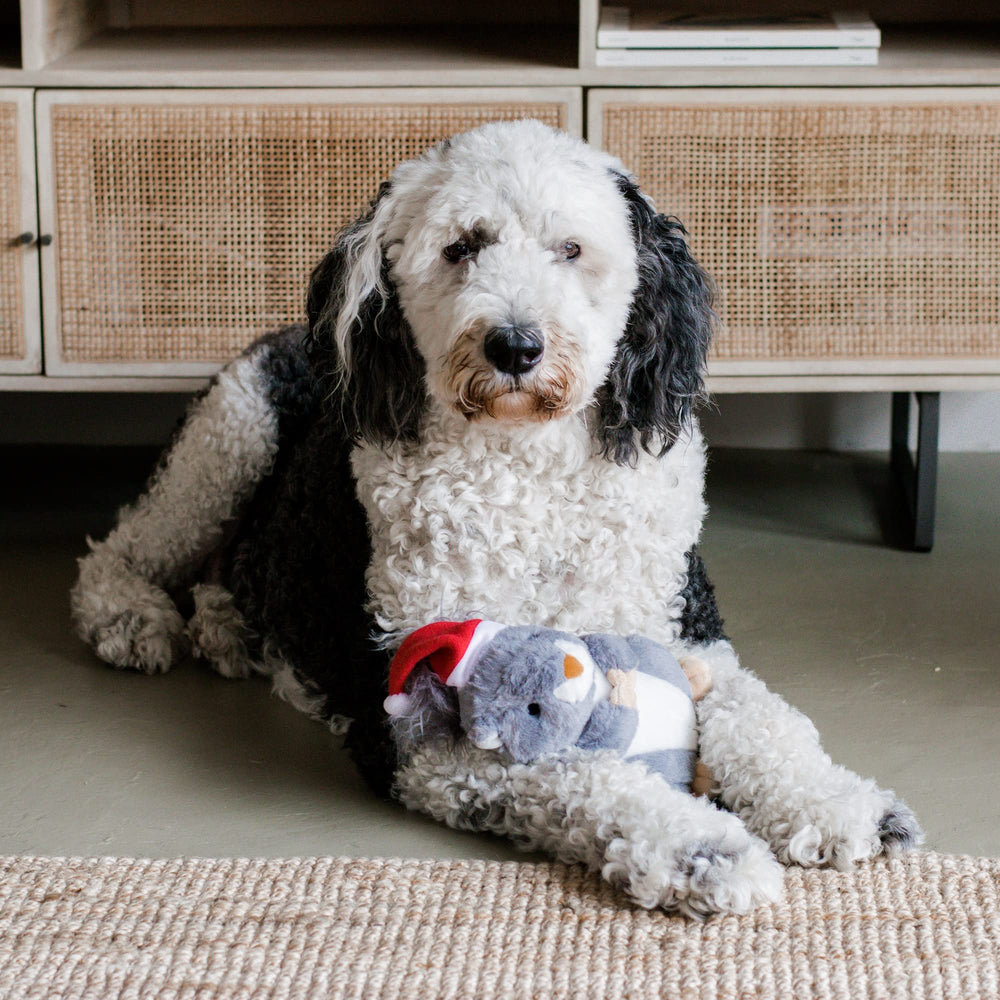 Midlee gift-ready dog toy squirrel perfect stocking stuffer.