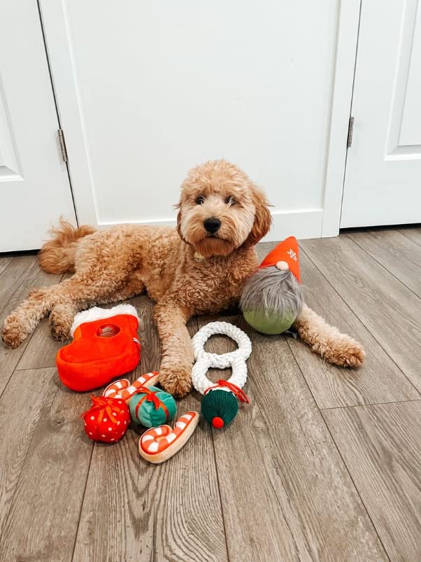 Midlee gnome hidden ball toy tucked in a stocking for a festive dog surprise.