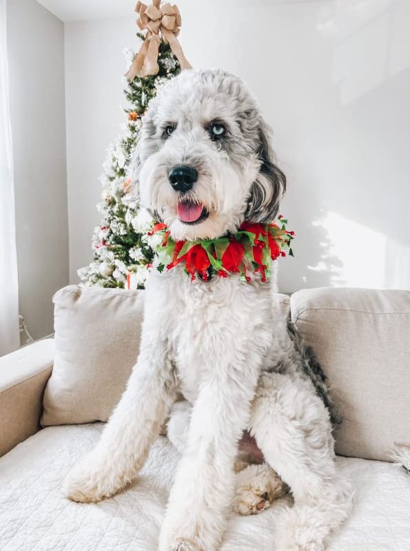 Midlee green-red mesh ribbons collar detail adds seasonal charm