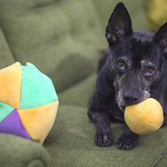 Midlee Hide a Ball Puzzle Dog Toy bright colors invite play and exploration